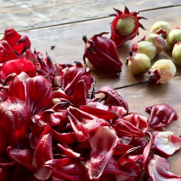 بذر چای ترش 1 گرمی