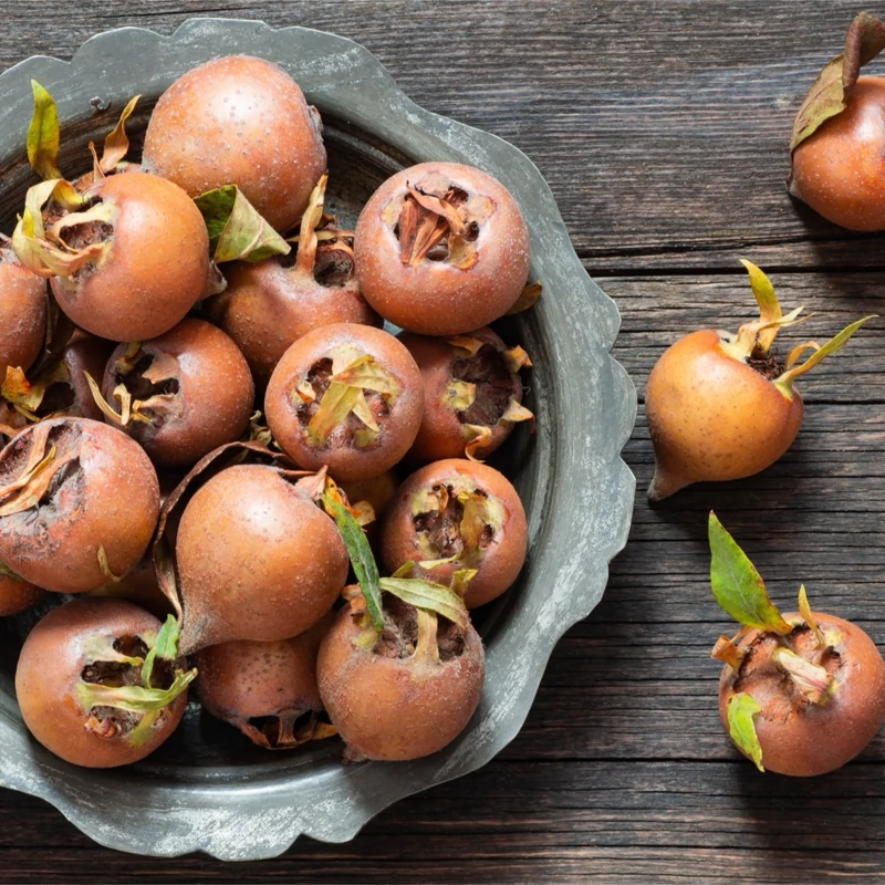 بذر ازگیل 10 عددی