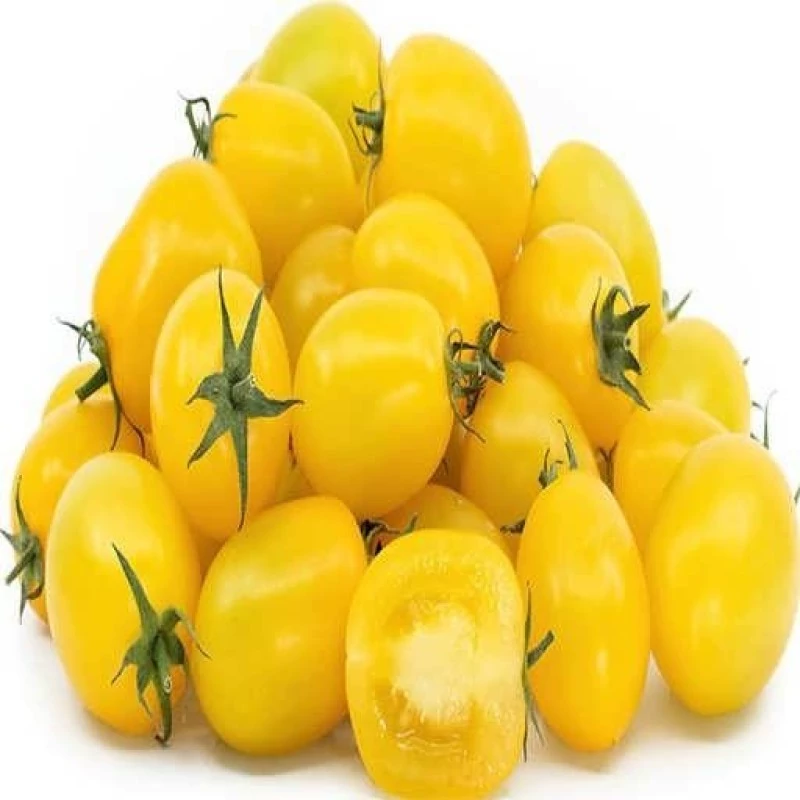 بذر گوجه زیتونی زرد درشت درختی 15 عددی