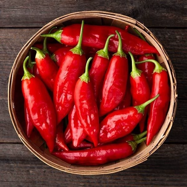 بذر فلفل چیلی سوئیت قرمز 10 عددی