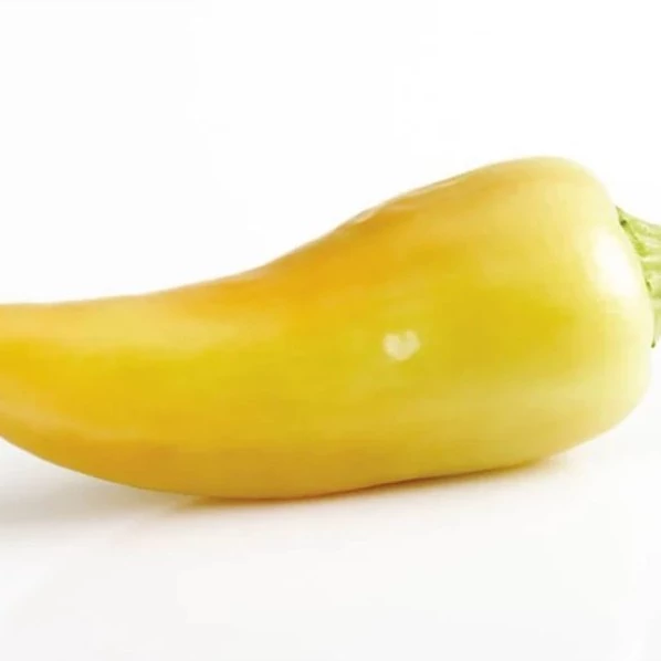 بذر فلفل سانتافه زرد 10 عددی