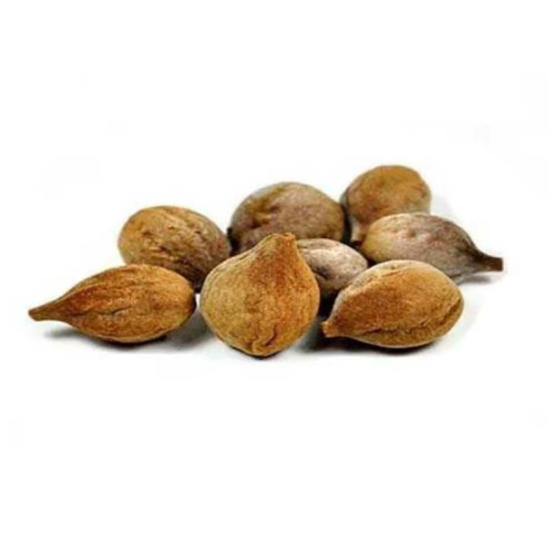 بذر درخت بلیله 5 عددی