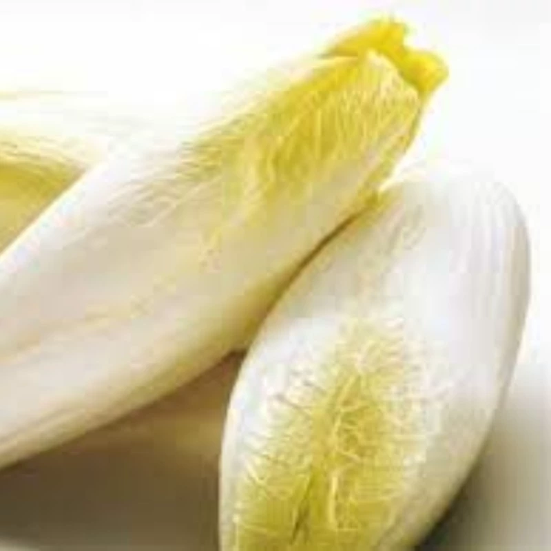 بذر کاسنی کاهویی 50 عددی