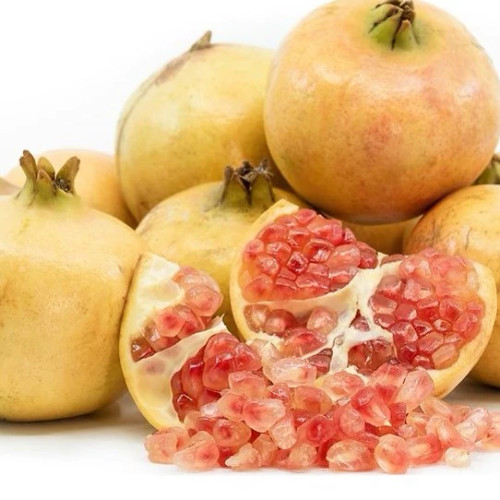 بذر انار سفید 20 عددی