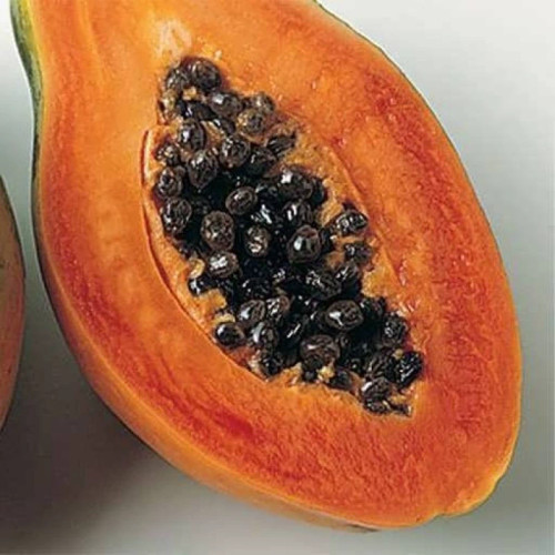 بذر پاپایا گلابی 3 عددی
