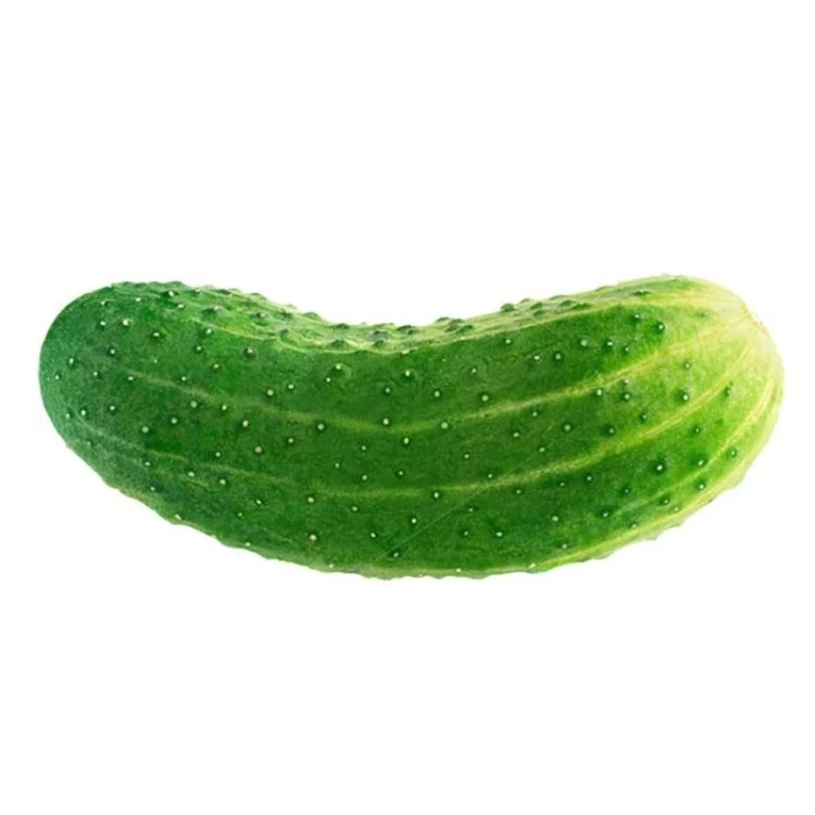 خیار اصفهانی