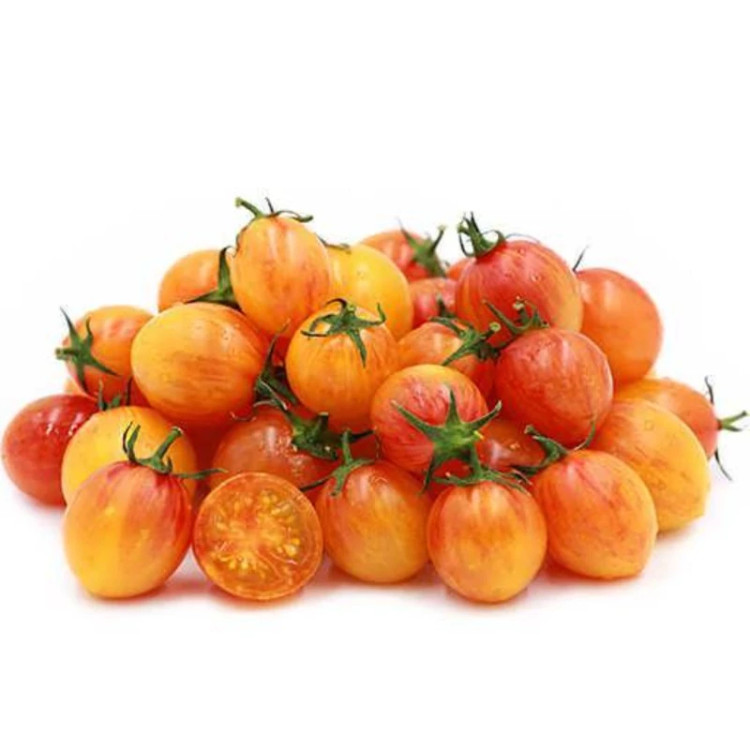 گوجه فرنگی زنبور عسل