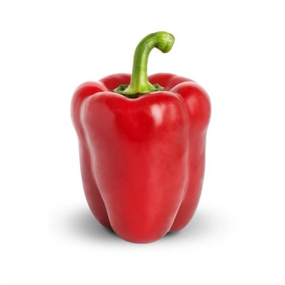 فلفل دلمه ای قرمز تکی