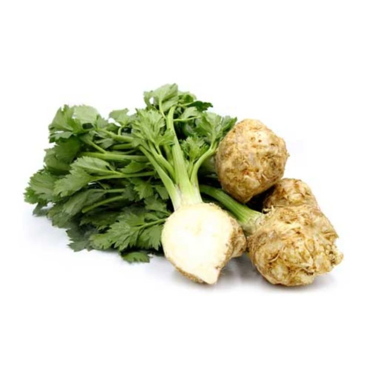کرفس فرنگی