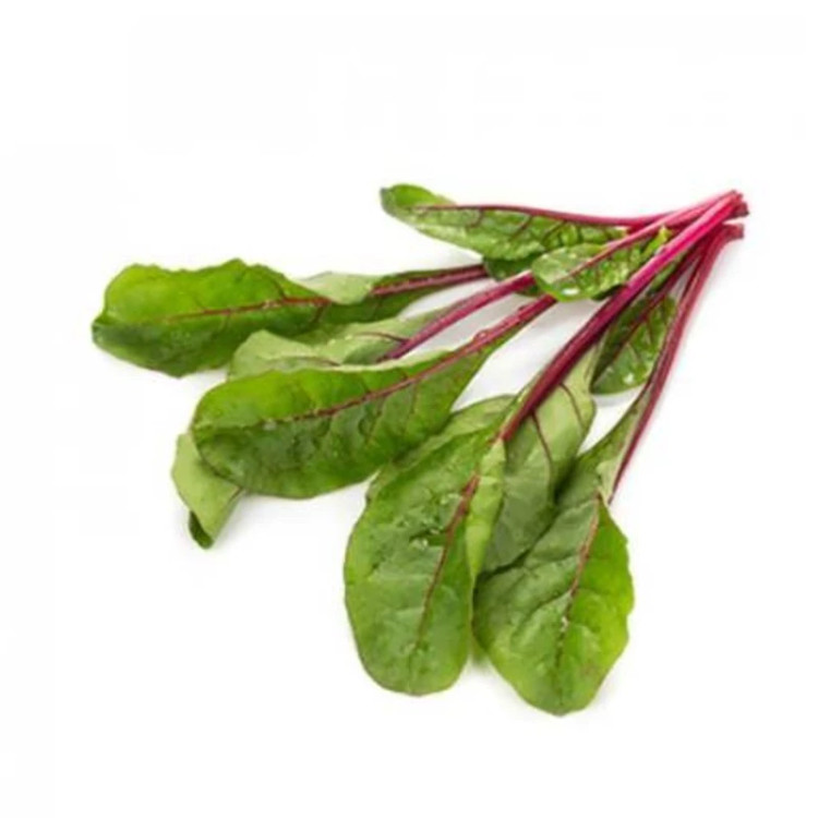 سوئیس چارد بیبی هیبرید