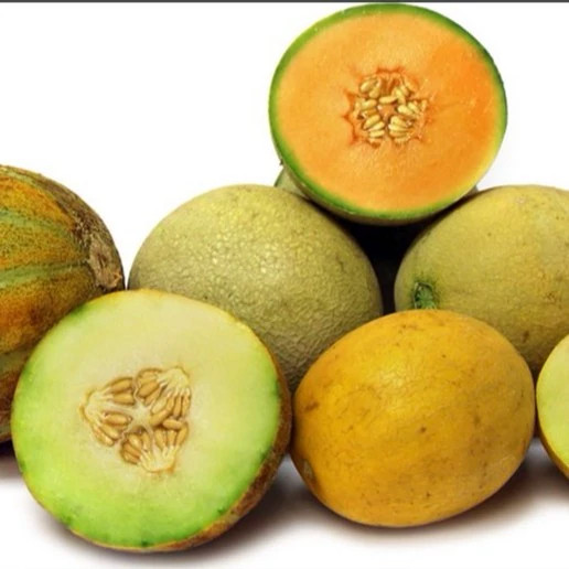 طالبی میکس از روبرو