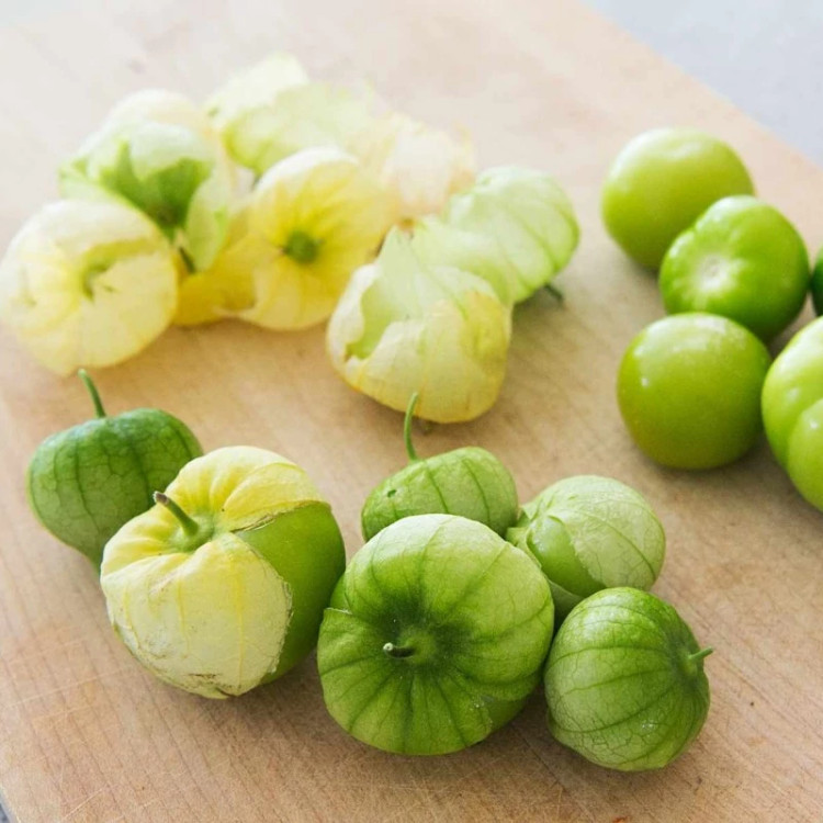 فیسالیس سبز