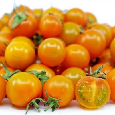 گوجه چری نارنجی