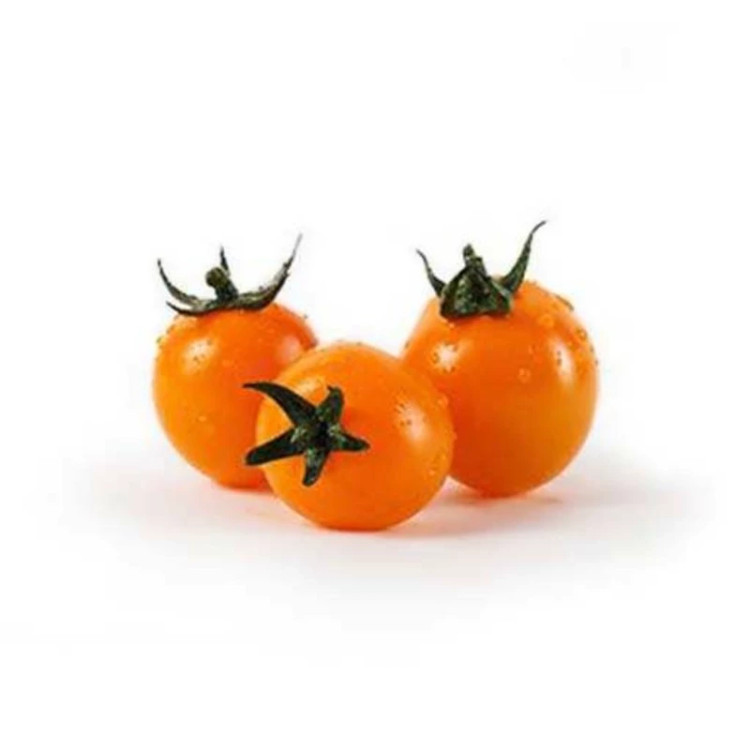 گوجه چری نارنجی از روبرو