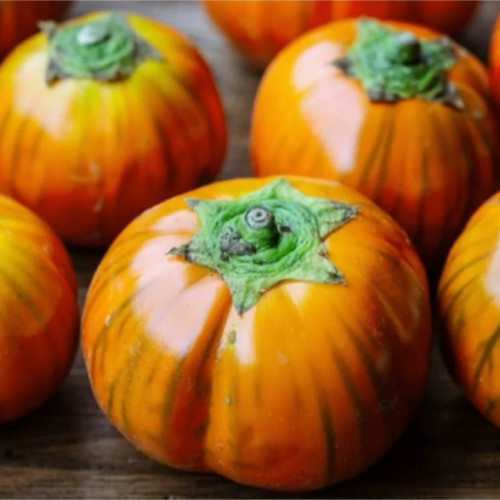 بادمجان فرانسوی