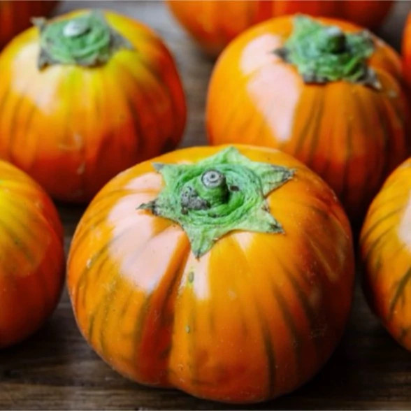 بادمجان فرانسوی