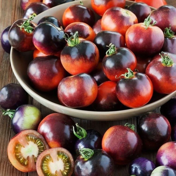 گوجه گیلاسی بلوبری قرمز در بشقاب