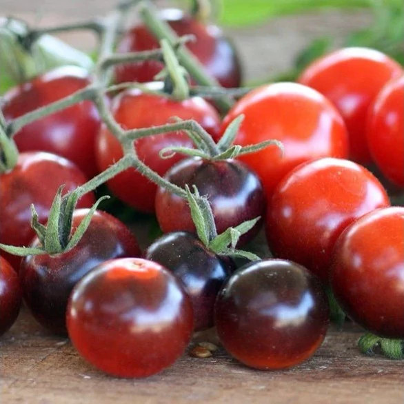 گوجه گیلاسی بلوبری قرمز