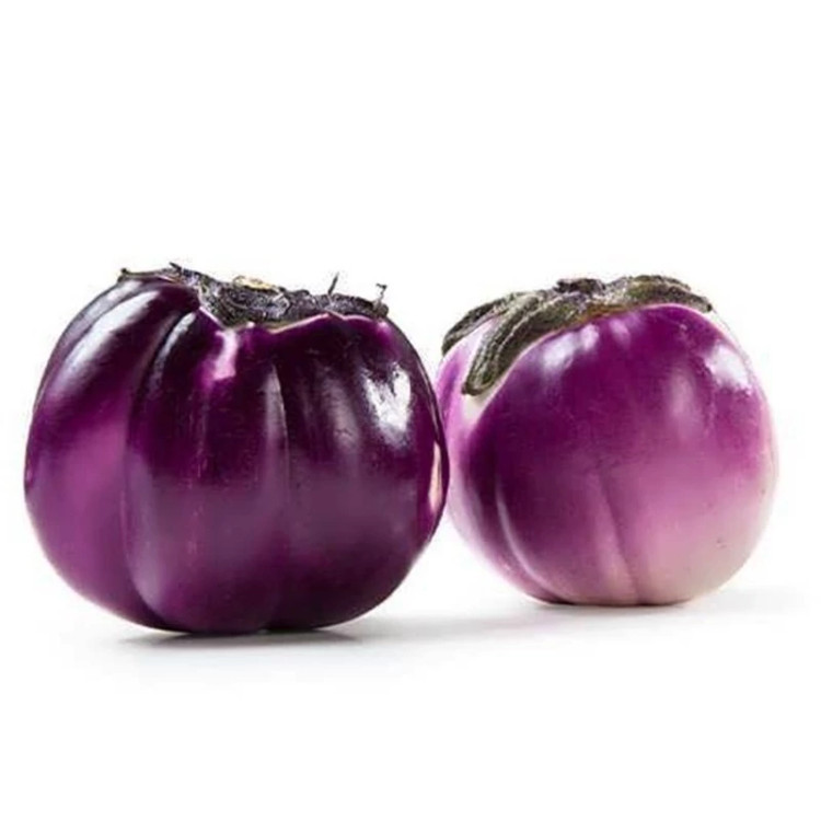 بادمجان دلمه ای ویولتا