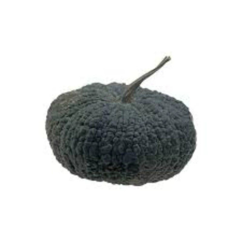 کدو عروسکی سیاه