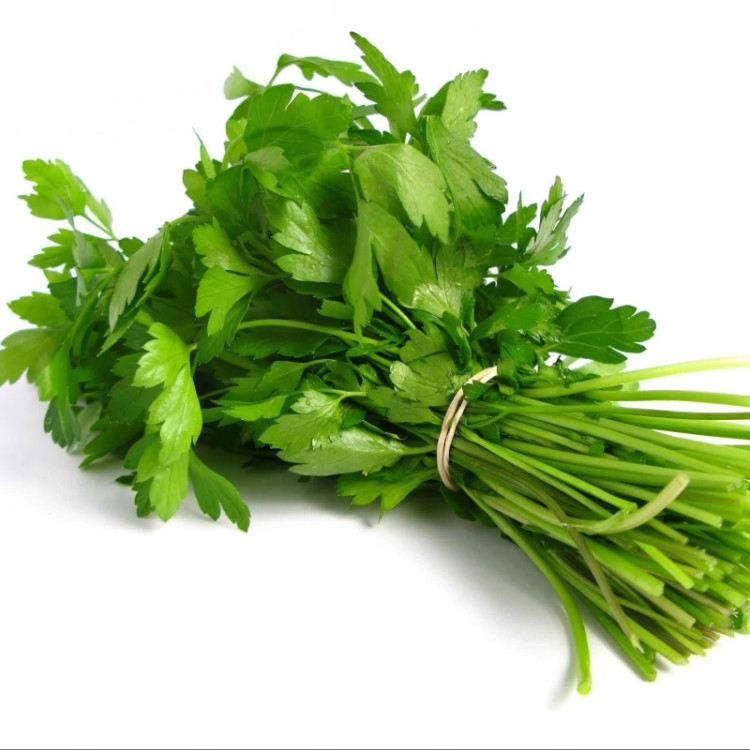 گشنیز محلی از نزدیک