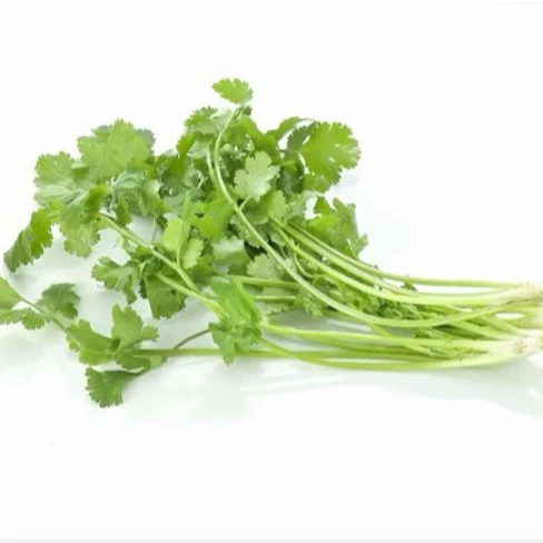 بذر گشنیز محلی 20 گرمی