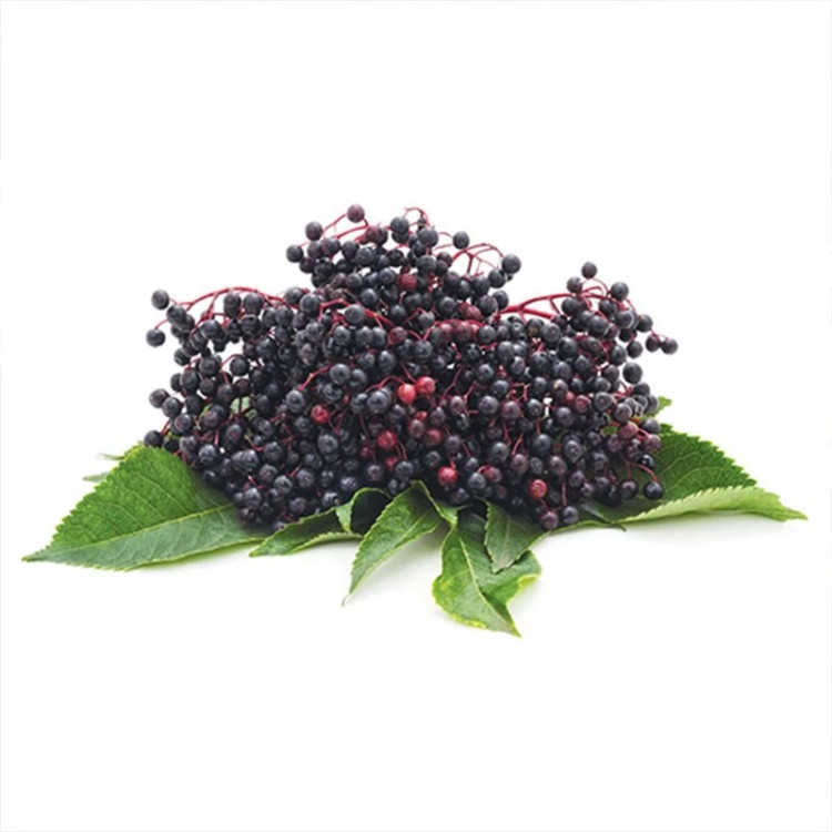 انگور کولی (آقطی سیاه)