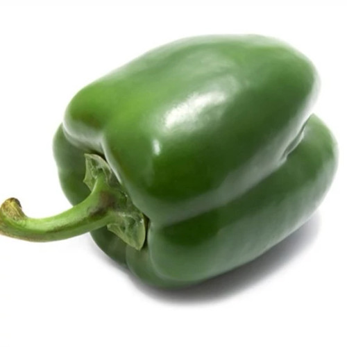 فلفل دلمه ای سبز ایرانی
