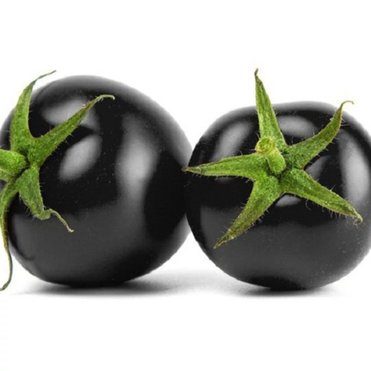 میوه گوجه چری مشکی ارگانیک