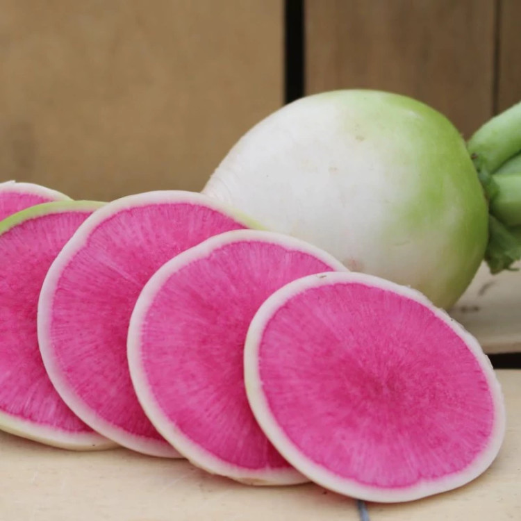 ترب گوشتی قرمز چینی از نزدیک