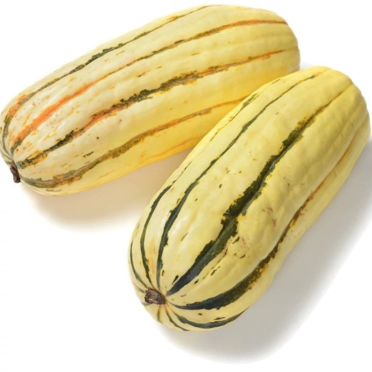 کدو تنبل خوشمزه