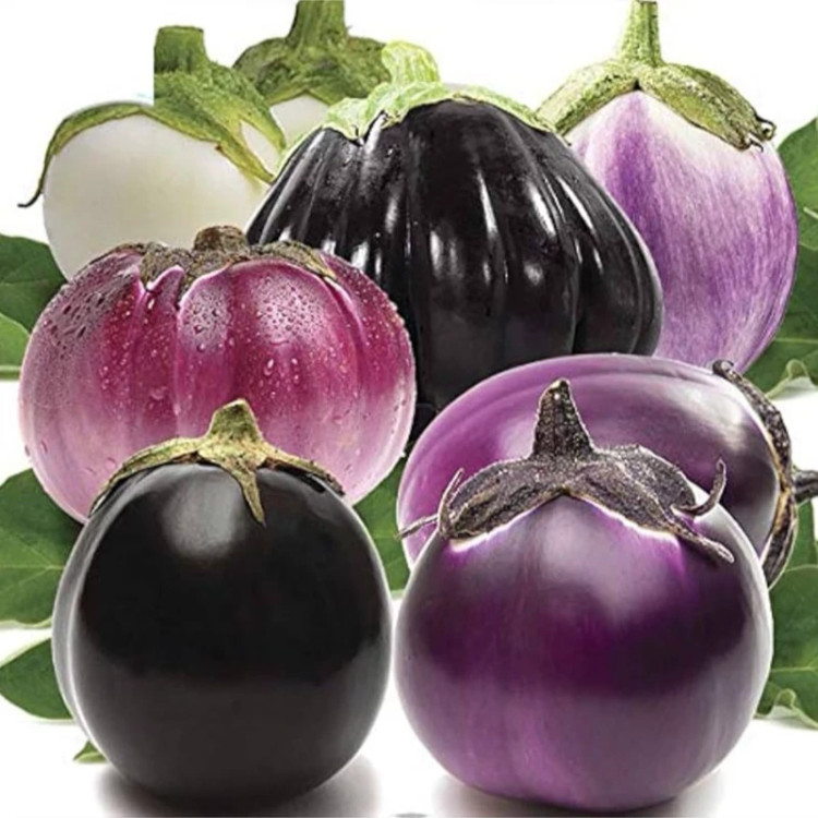 بادمجان دلمه ای میکس