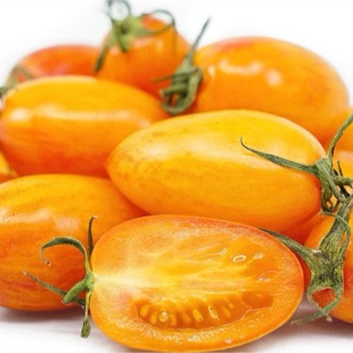 گوجه زیتونی بلاش از روبرو