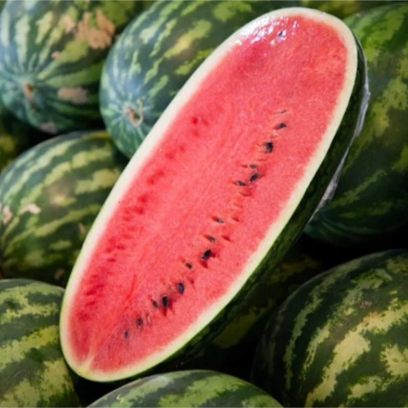 هندوانه کنگو از نزدیک