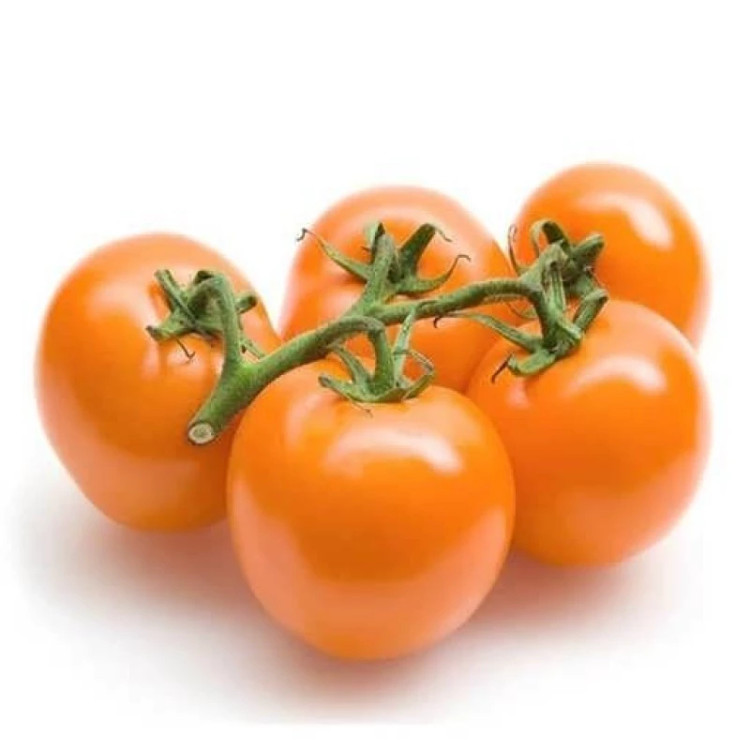 گوجه فرنگی غول پیکر پرتغالی درختی