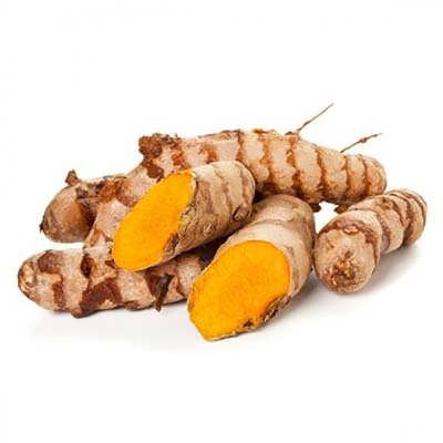 ریزوم زردچوبه