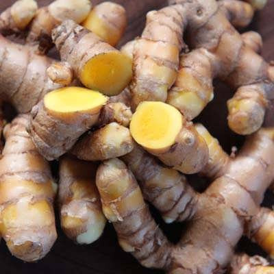 ریزوم زردچوبه